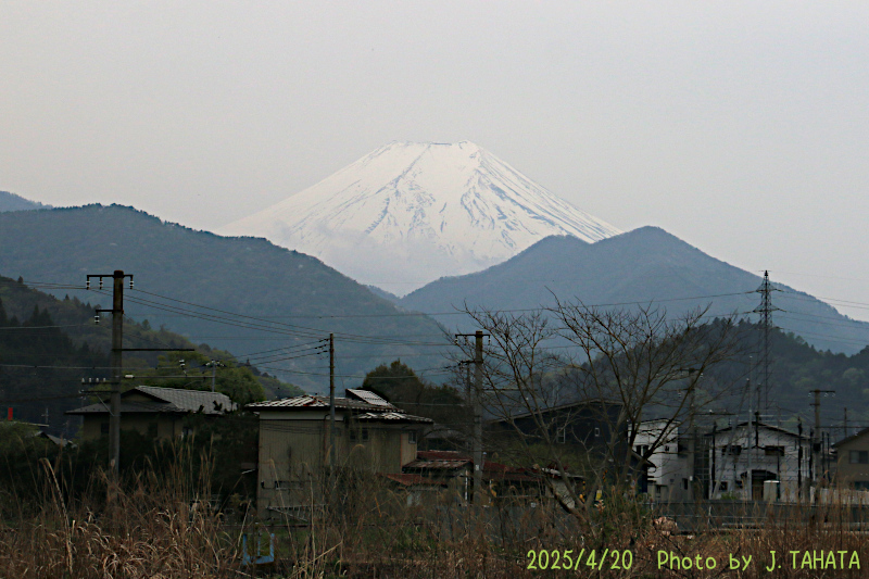2025年4月20日の富士山写真