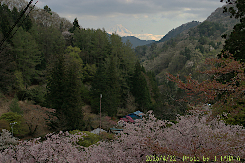 2025年4月22日の富士山写真