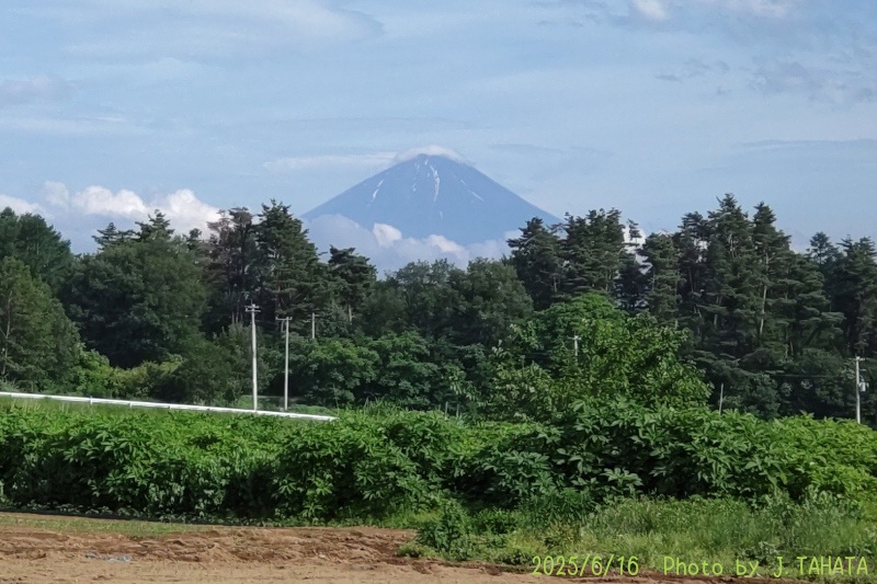 2025年6月16日の富士山写真