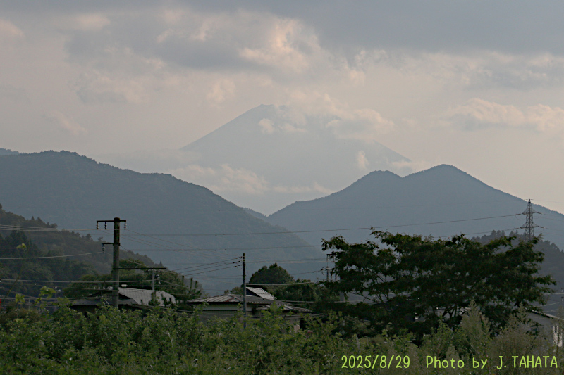 2025年8月29日の富士山写真