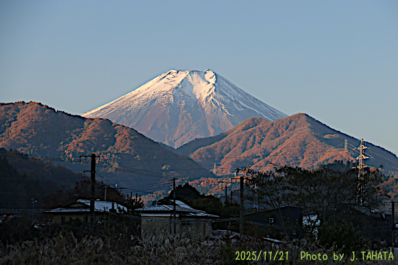 2025年11月21日の富士山写真