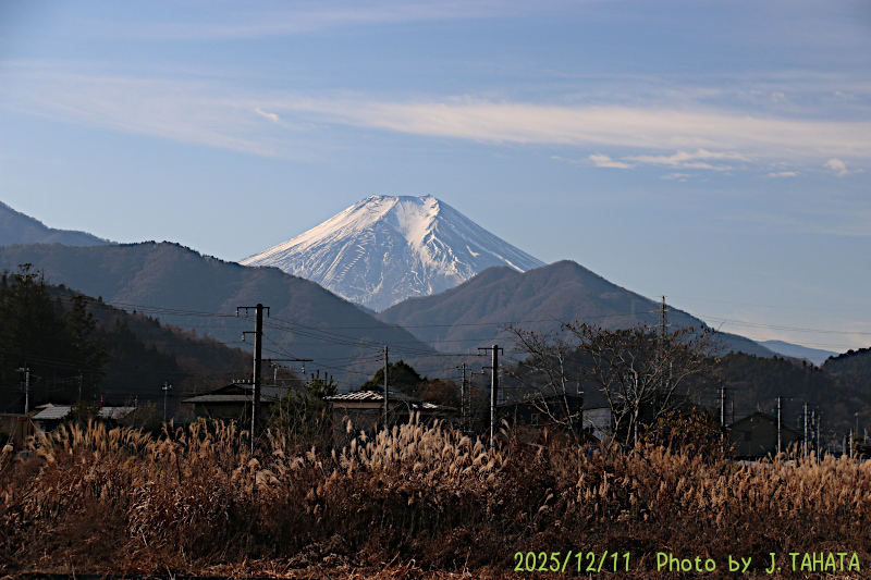 2025年12月11日の富士山写真