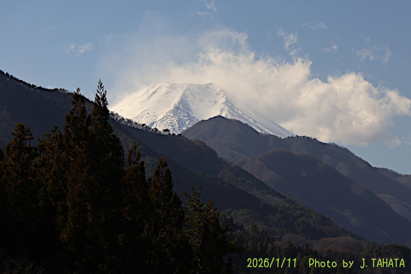 2026年1月11日の富士山写真