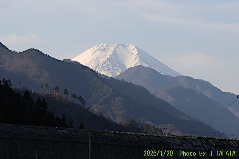 2026年1月20日の富士山写真