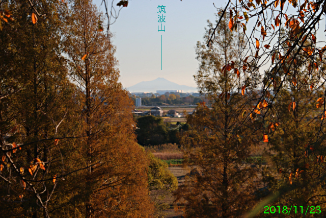 sakitama-kofun_10