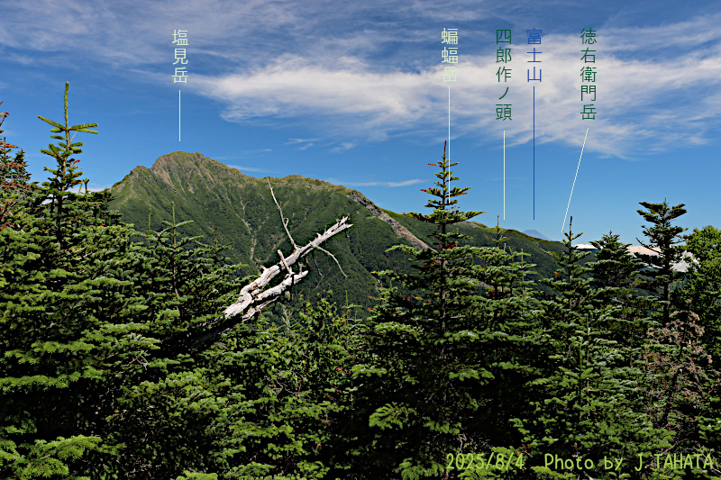 hontaniyama_1