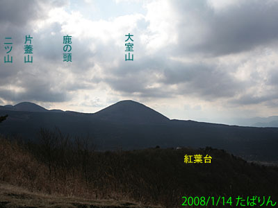 sankodai_01