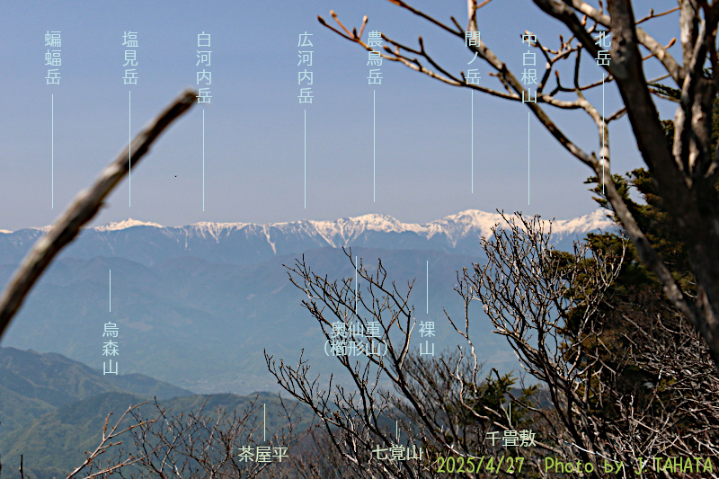 settou-katana_8