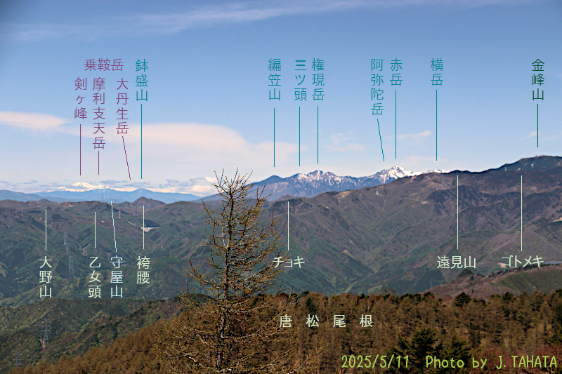 oyashirazu_12