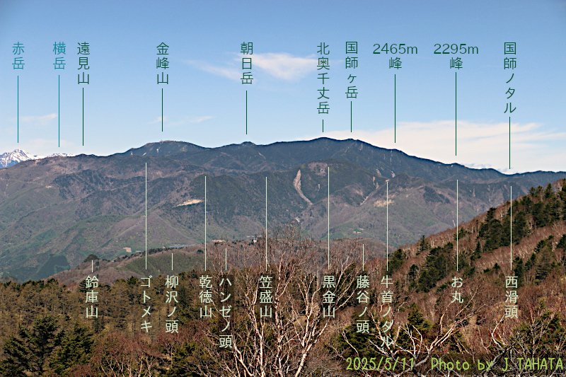 oyashirazu_13