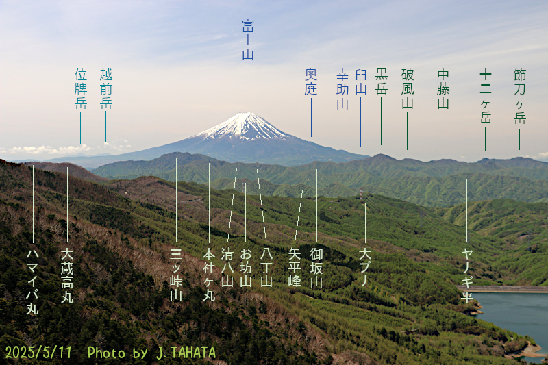 oyashirazu_7