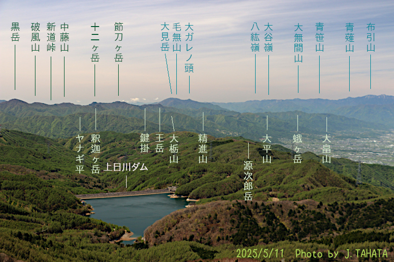 oyashirazu_8