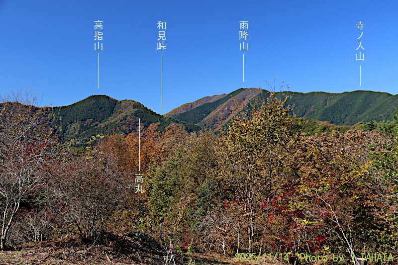 yougaisan-uenohara_10