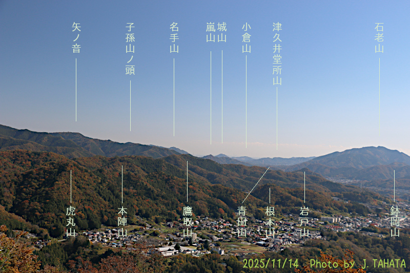 yougaisan-uenohara_3