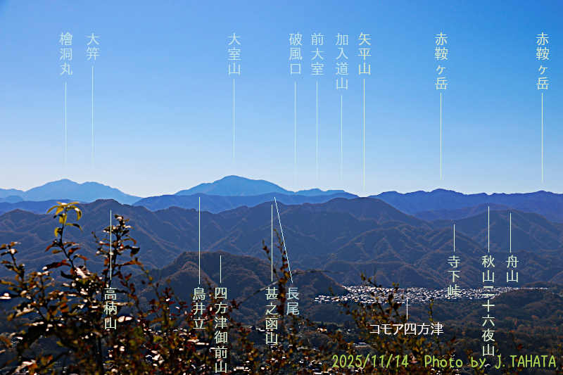 yougaisan-uenohara_6