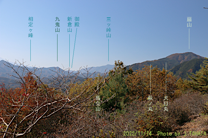 yougaisan-uenohara_8