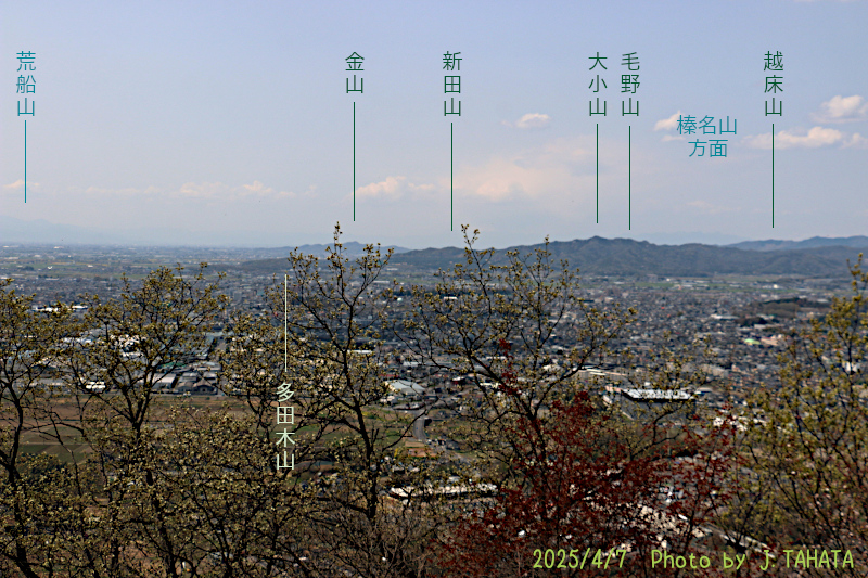 mikamo_1