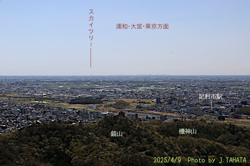 tenguyama-ashikaga_1