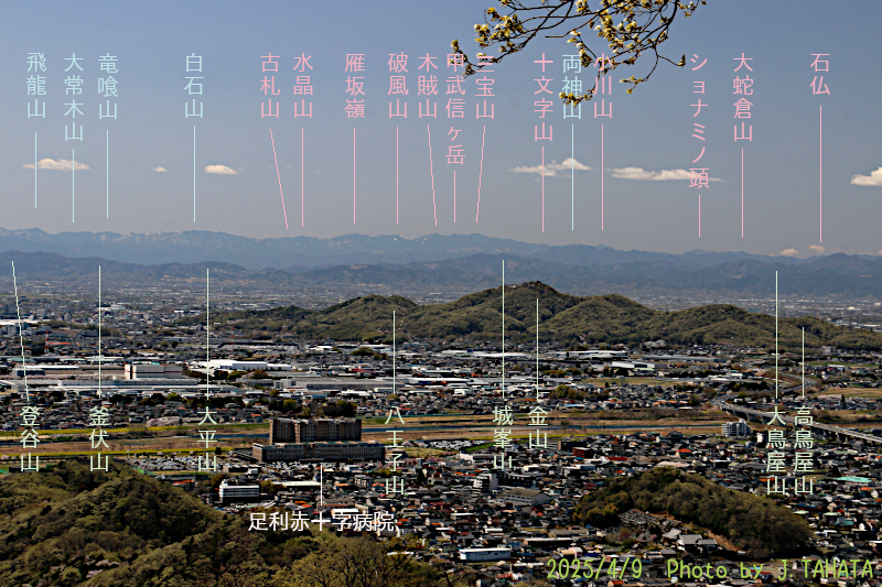 tenguyama-ashikaga_7