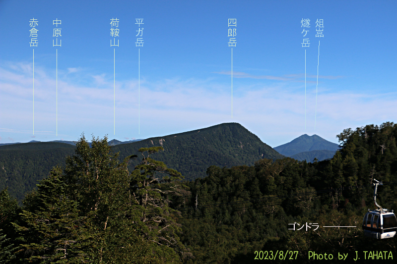 nikko-shirane_13