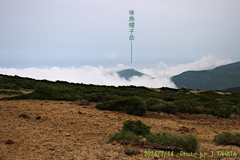 zao_kumano_1